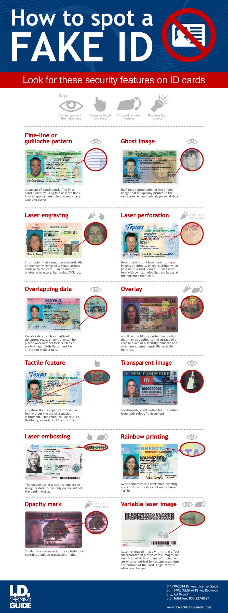 How to Spot a Fake ID[Infographic]
