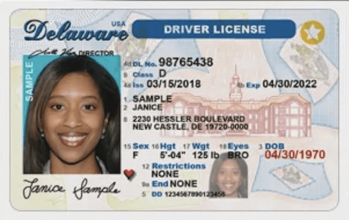 delaware drivers license